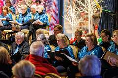 26: Jukebox Musicals-7041