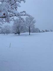 47: BerniceBailine_2025-52