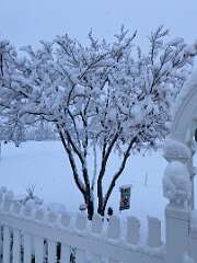 65: BerniceBailine_2025-54