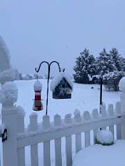 46: BerniceBailine_2025-55