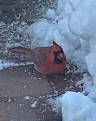 24: BerniceBailine_2025-67