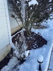 31: BerniceBailine_2025-69