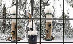 60: BillKirms_2025-362