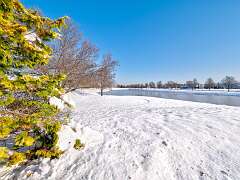 32: BillKirms_2025-366