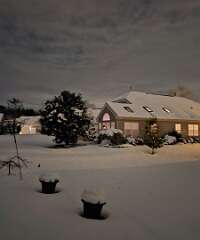 33: CeciliaRomano_2025-10