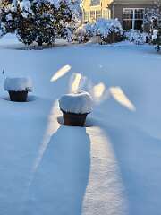 34: CeciliaRomano_2025-9