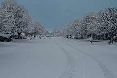 83: DonManfria_2025-308