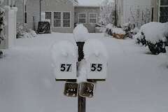 23: DonManfria_2025-310