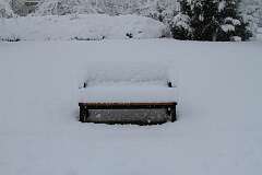 87: DonManfria_2025-314