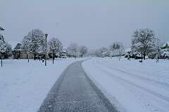 10: DonManfria_2025-315