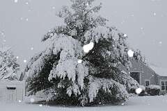 39: DonManfria_2025-316