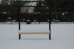 85: DonManfria_2025-318