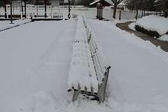 38: DonManfria_2025-319