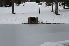 44: DonManfria_2025-320