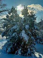 53: KathleenMiddleton_2025-7