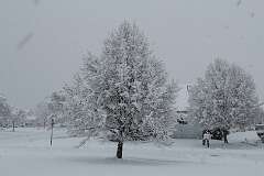 11: MarkShelly_2025-272