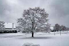 62: MarkShelly_2025-273