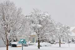 13: MarkShelly_2025-274