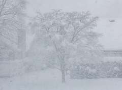 20: MarkShelly_2025-275