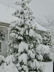 42: MikeGlass_2025-57