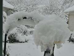 16: MikeGlass_2025-58