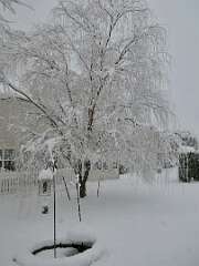 3: MikeGlass_2025-59