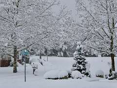 8: MikeGlass_2025-67