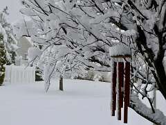 81: MikeGlass_2025-68