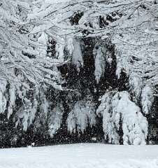 57: jenCurcione_2025-70