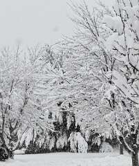 67: jenCurcione_2025-71