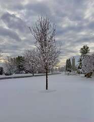 72: jenCurcione_2025-72