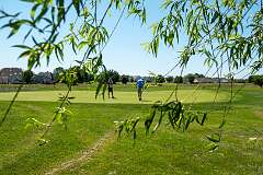 96: golfMarathon-96